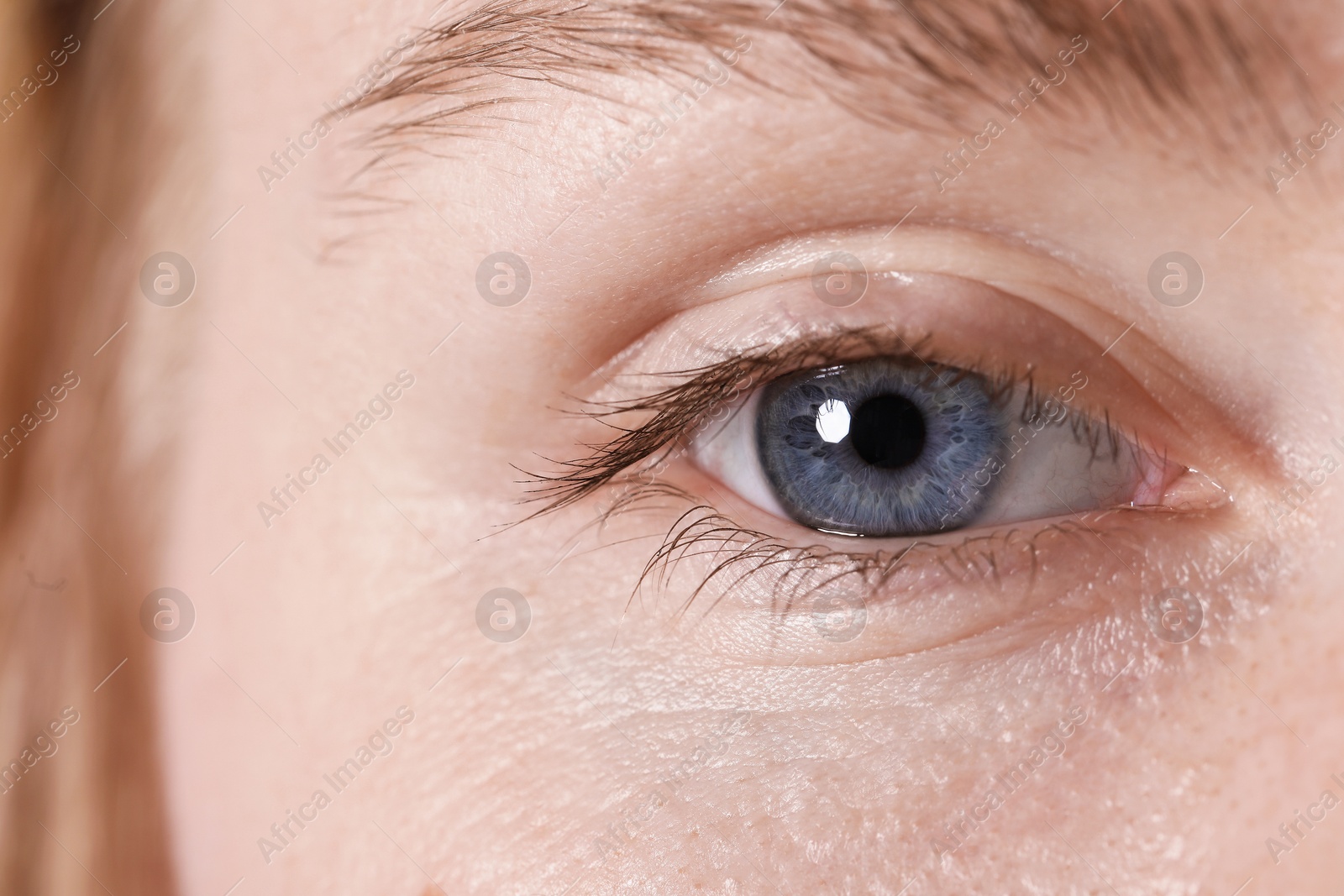 Closeup view of woman with beautiful eyes Photo of Closeup view of woman with beautiful eyes