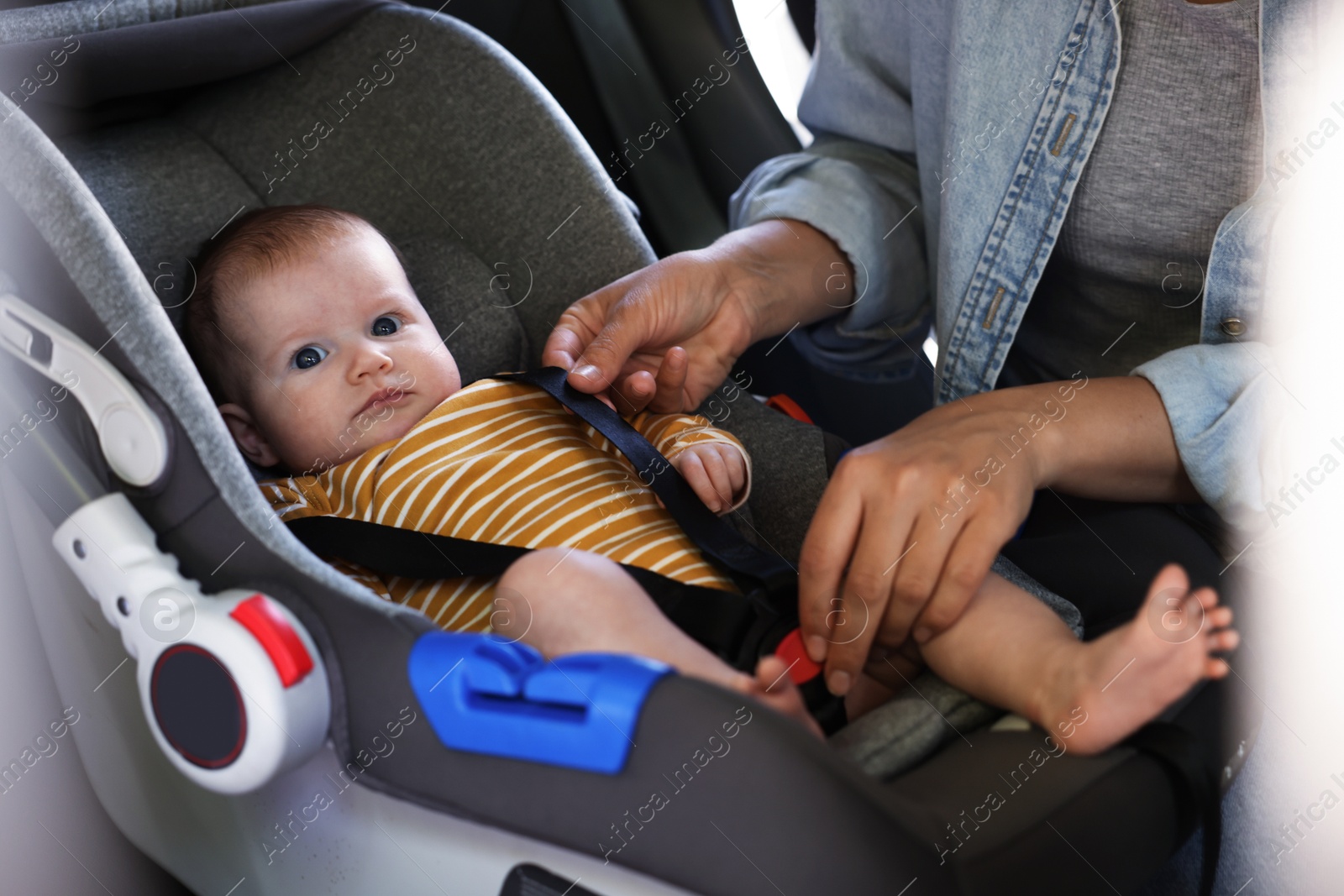 Mother fastening her baby in car seat, closeup Photo of Mother fastening her baby in car seat, closeup