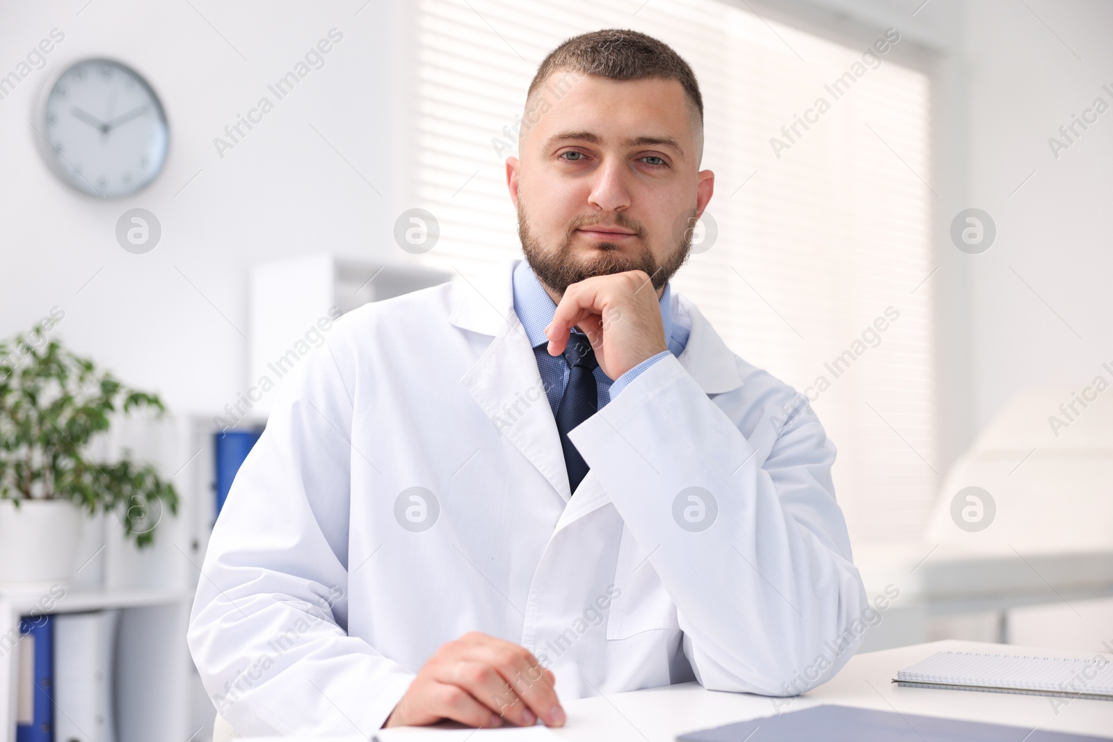 Portrait of doctor in uniform at table indoors Photo of Portrait of doctor in uniform at table indoors