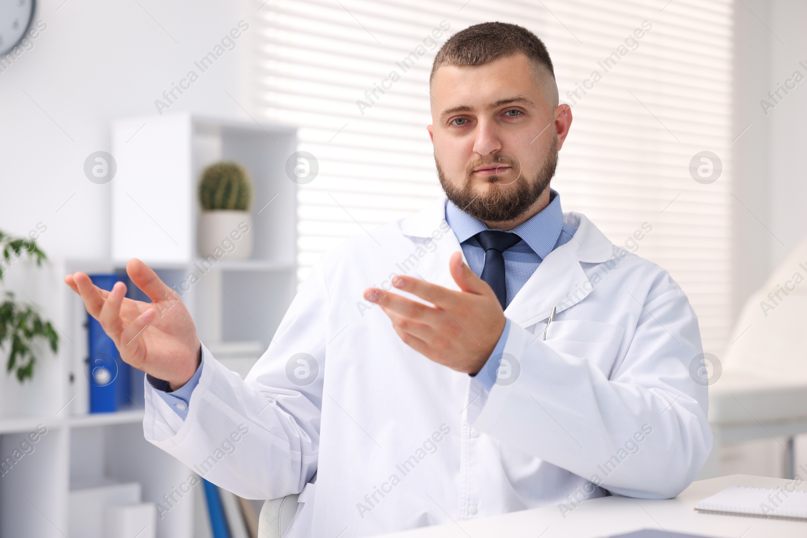 Portrait of doctor in uniform at table indoors Photo of Portrait of doctor in uniform at table indoors