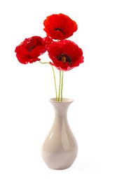 Photo of Bouquet of beautiful poppy flowers in vase isolated on white