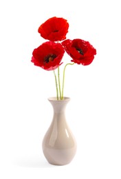 Photo of Bouquet of beautiful poppy flowers in vase isolated on white