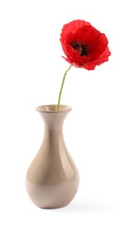 Photo of One beautiful poppy flower in vase isolated on white