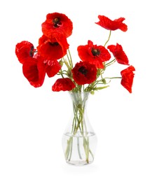 Photo of Bouquet of beautiful poppy flowers in vase isolated on white