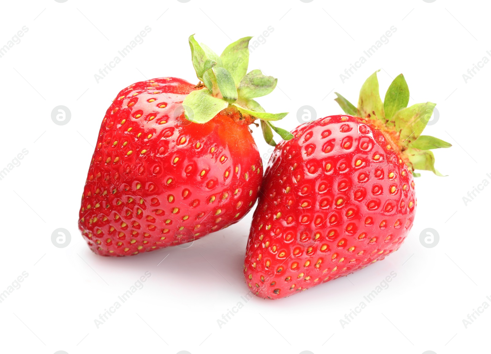 Two fresh ripe strawberries isolated on white Photo of Two fresh ripe strawberries isolated on white