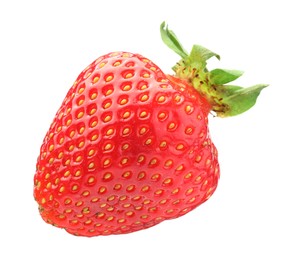 Photo of One fresh ripe strawberry isolated on white