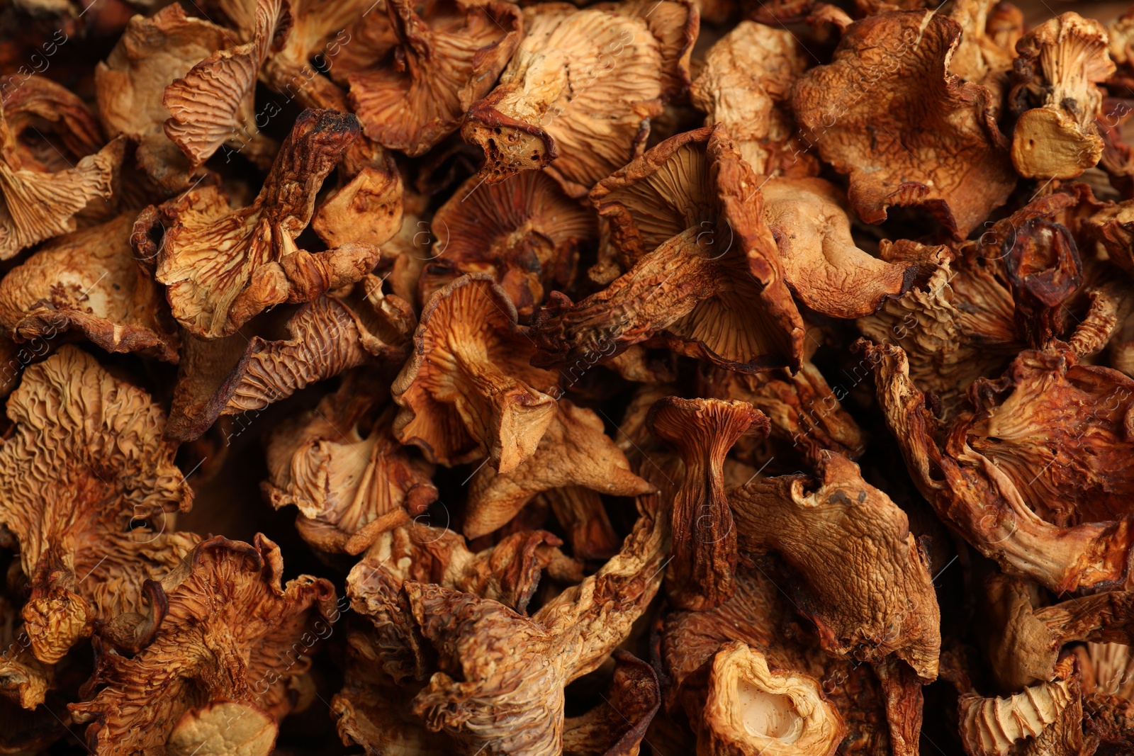 Photo of Many dried chanterelle mushrooms as background, closeup