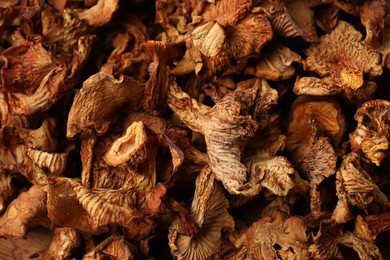 Photo of Many dried chanterelle mushrooms as background, closeup