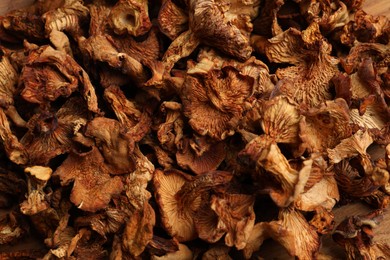 Photo of Many dried chanterelle mushrooms as background, closeup