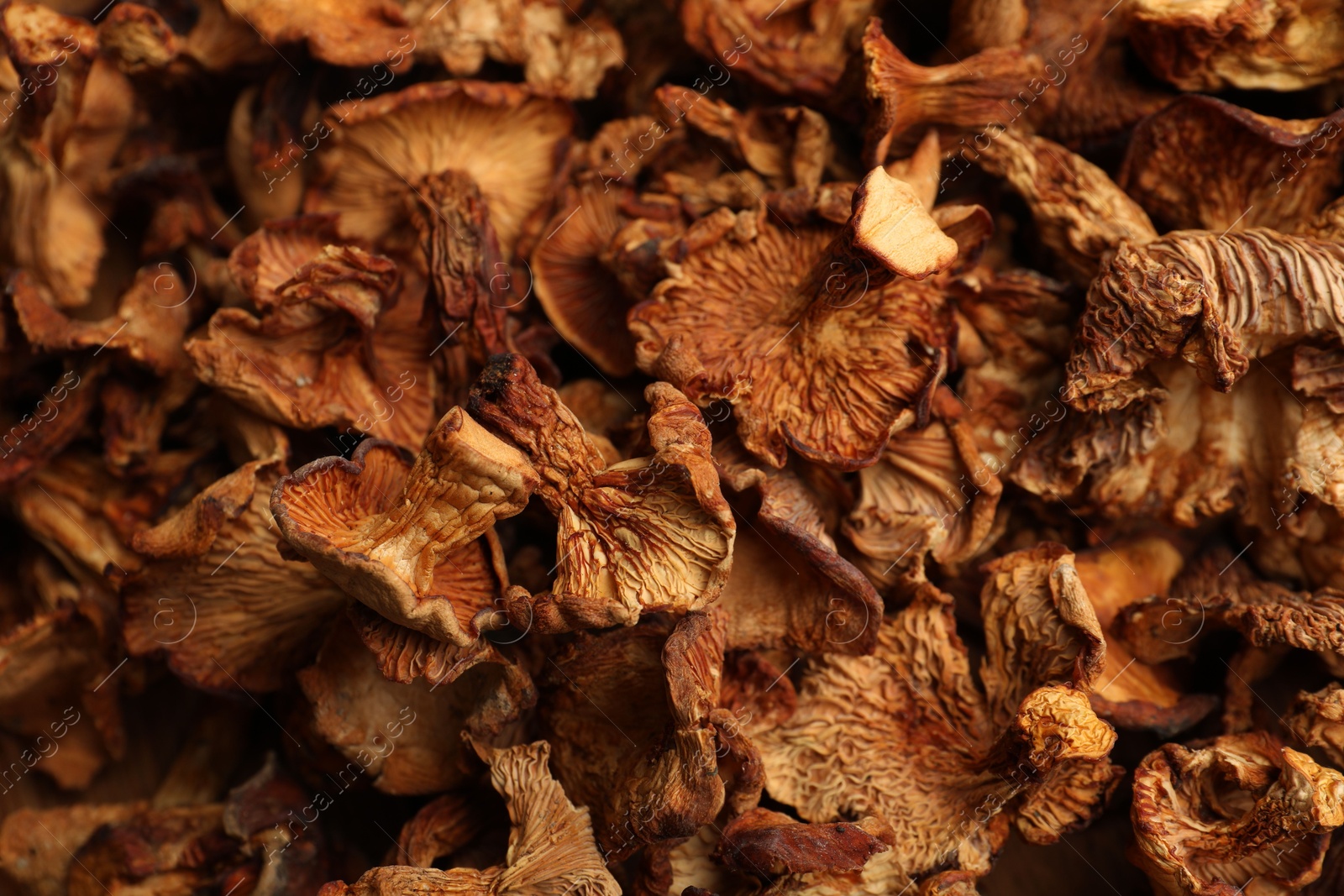 Photo of Many dried chanterelle mushrooms as background, closeup