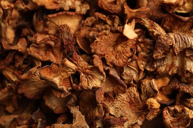 Photo of Many dried chanterelle mushrooms as background, closeup