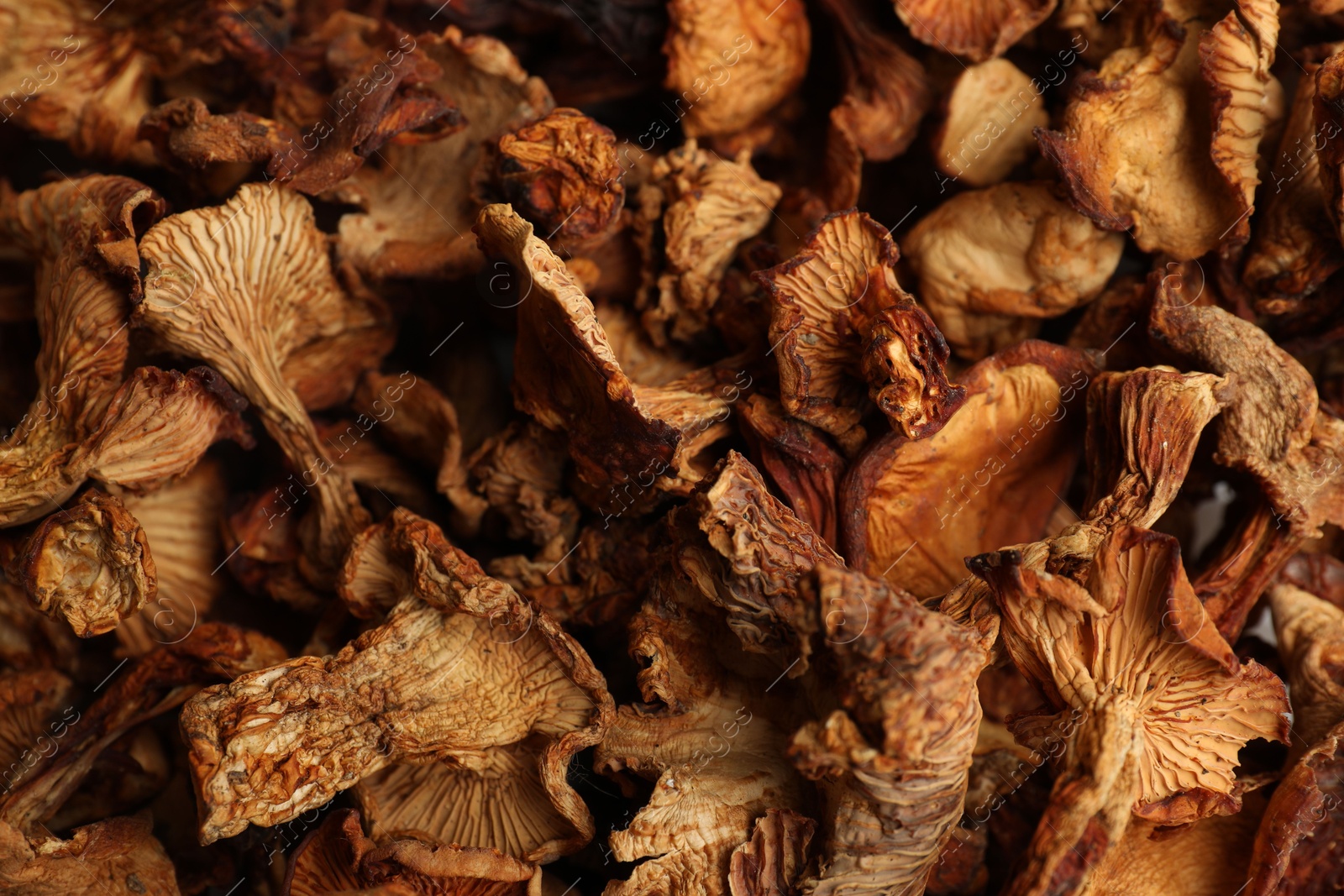Photo of Many dried chanterelle mushrooms as background, closeup