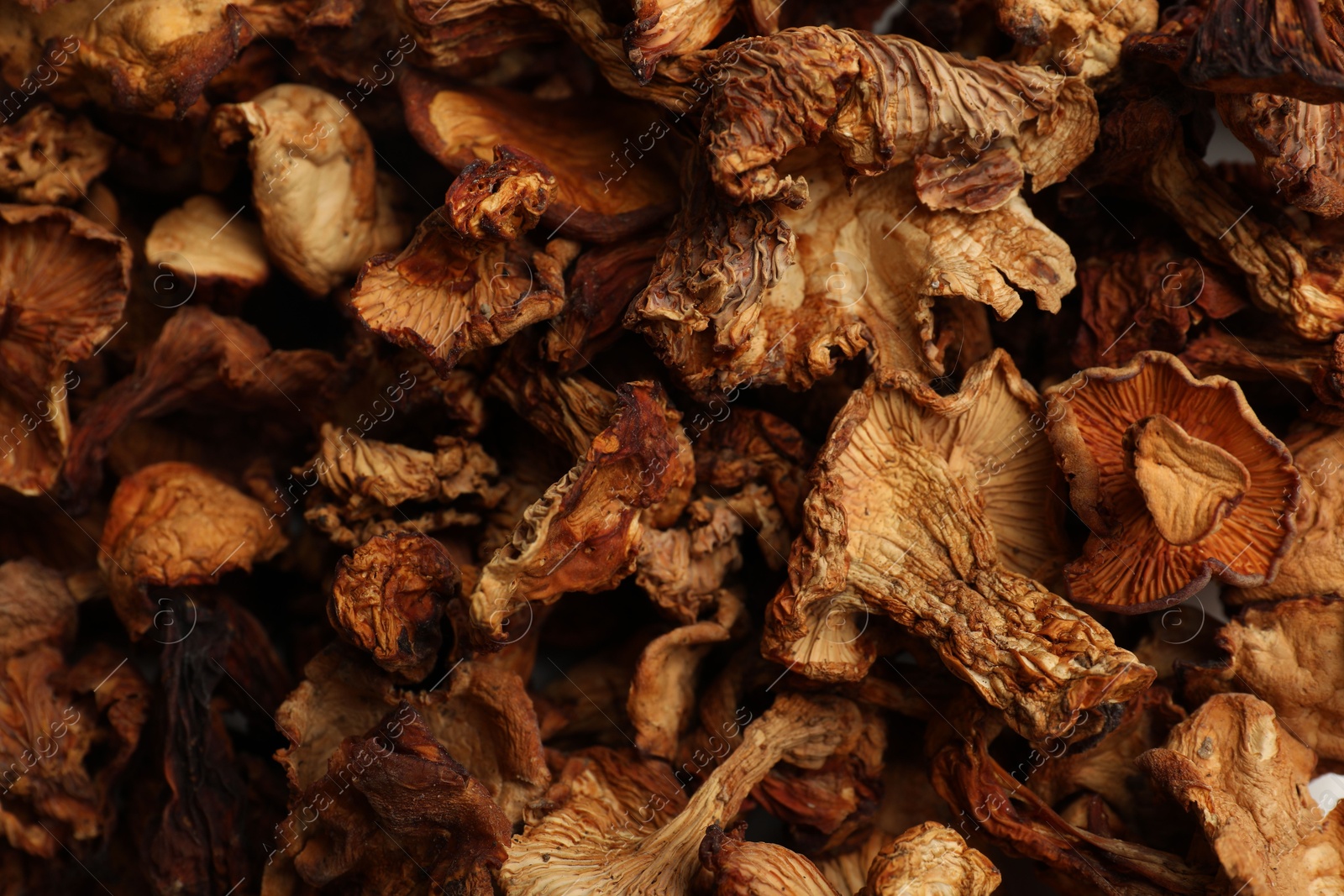 Photo of Many dried chanterelle mushrooms as background, closeup
