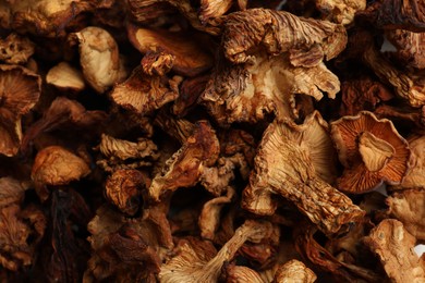 Photo of Many dried chanterelle mushrooms as background, closeup