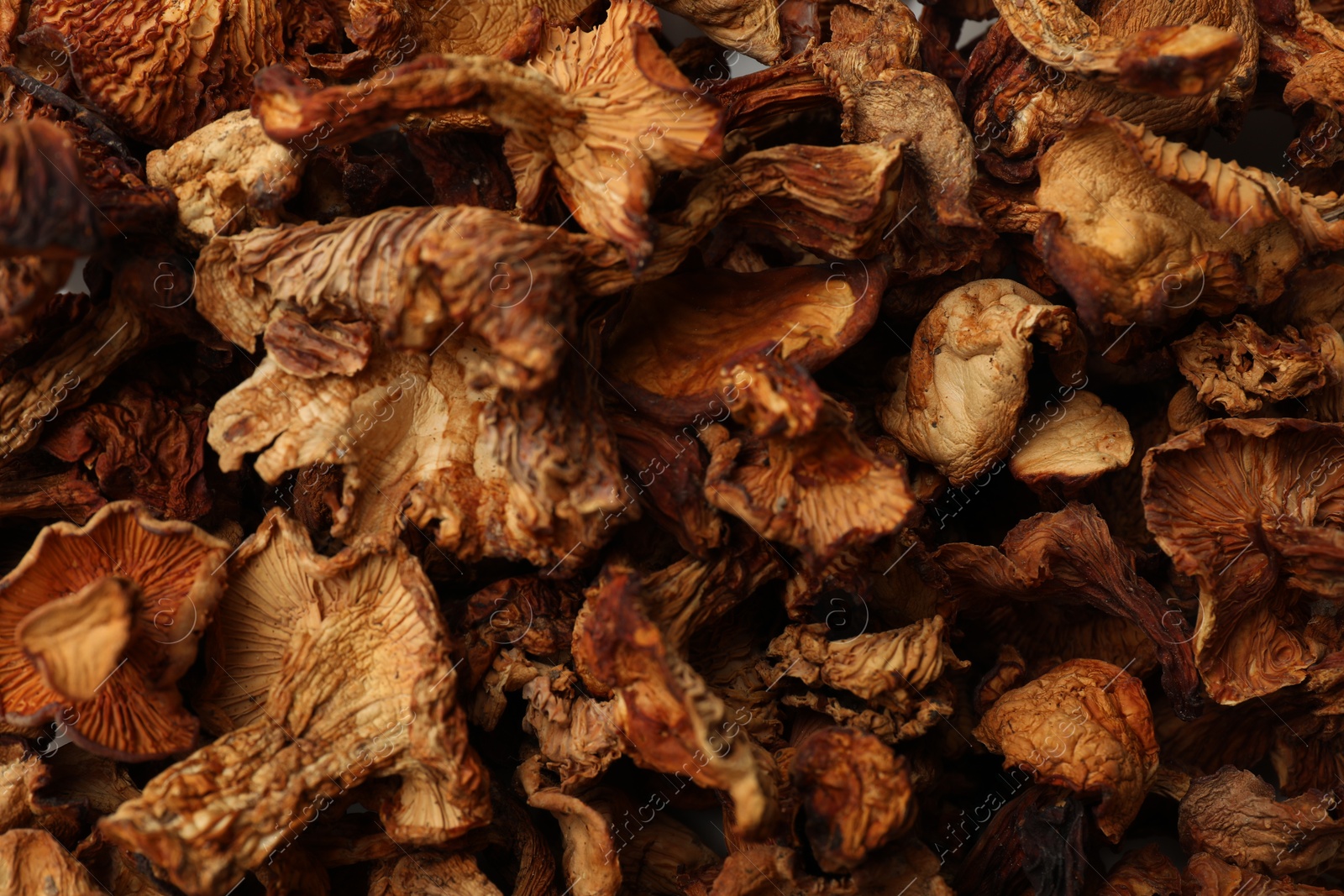 Photo of Many dried chanterelle mushrooms as background, closeup
