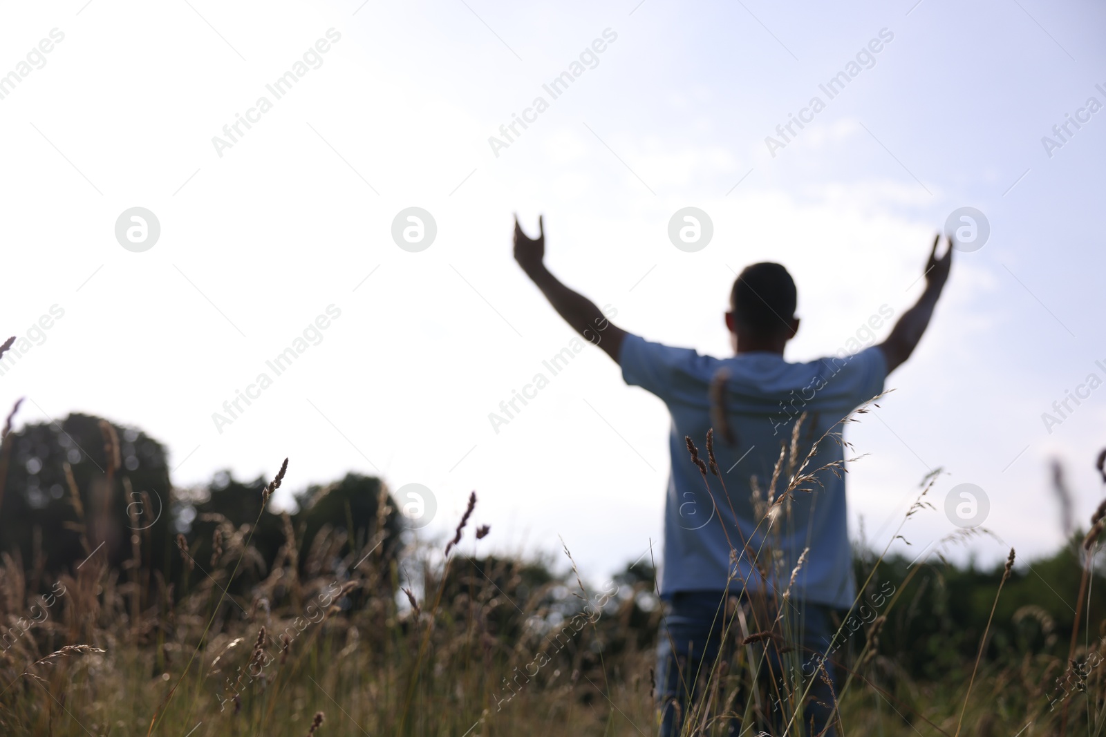 Feeling freedom. Man enjoying time outdoors, back view. Space for text Photo of Feeling freedom. Man enjoying time outdoors, back view. Space for text