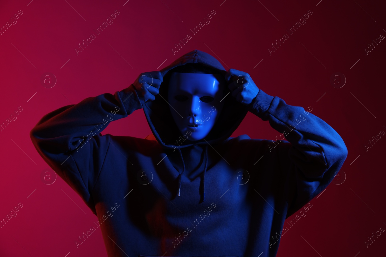 Anonymity. Woman wearing mask on burgundy background in blue light Photo of Anonymity. Woman wearing mask on burgundy background in blue light