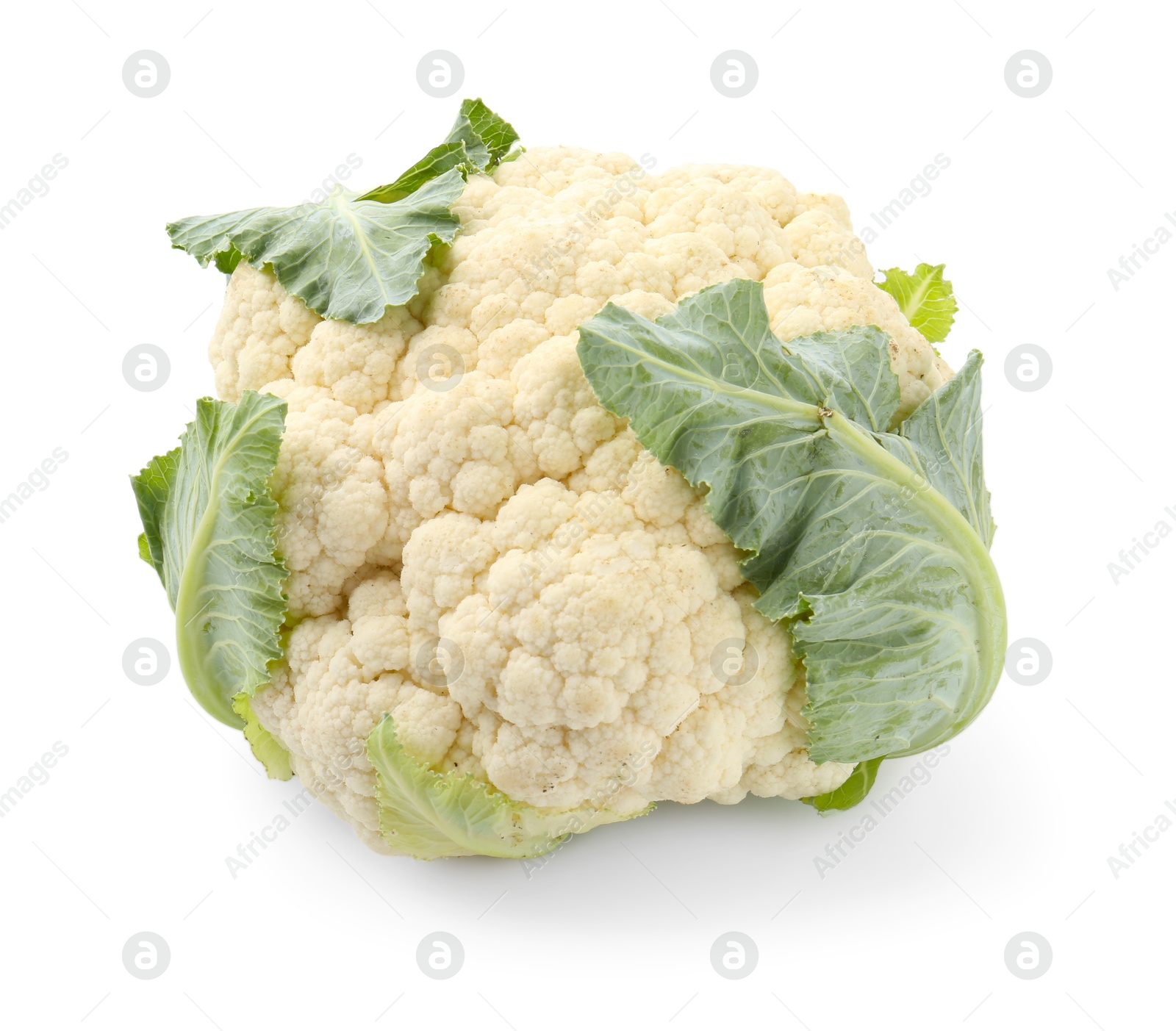 One fresh cauliflower with green leaves isolated on white Photo of One fresh cauliflower with green leaves isolated on white