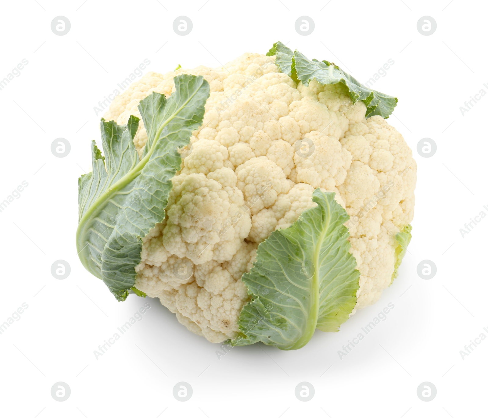 One fresh cauliflower with green leaves isolated on white Photo of One fresh cauliflower with green leaves isolated on white