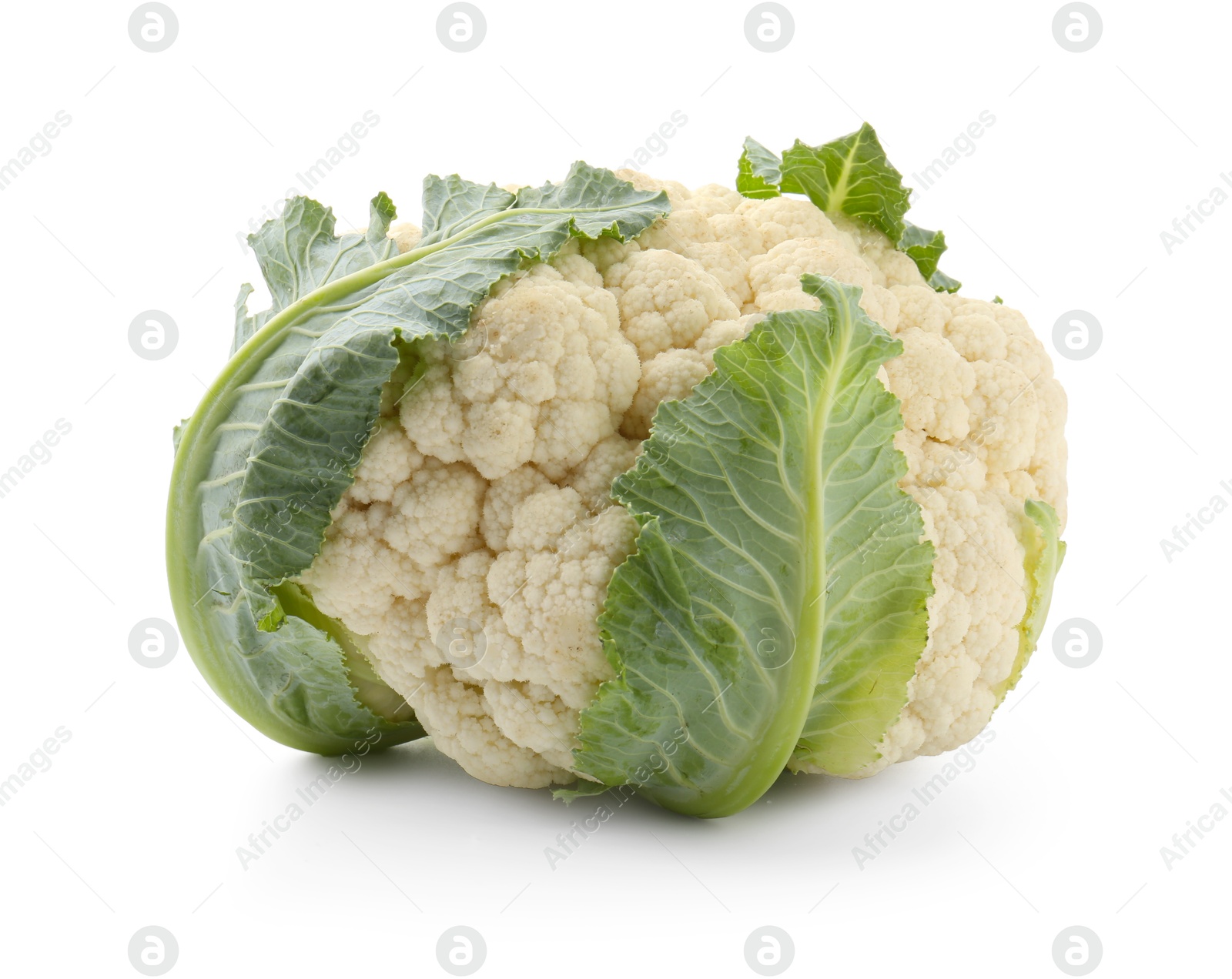 One fresh cauliflower with green leaves isolated on white Photo of One fresh cauliflower with green leaves isolated on white