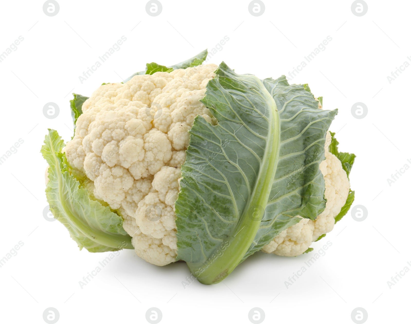 Photo of One fresh cauliflower with green leaves isolated on white