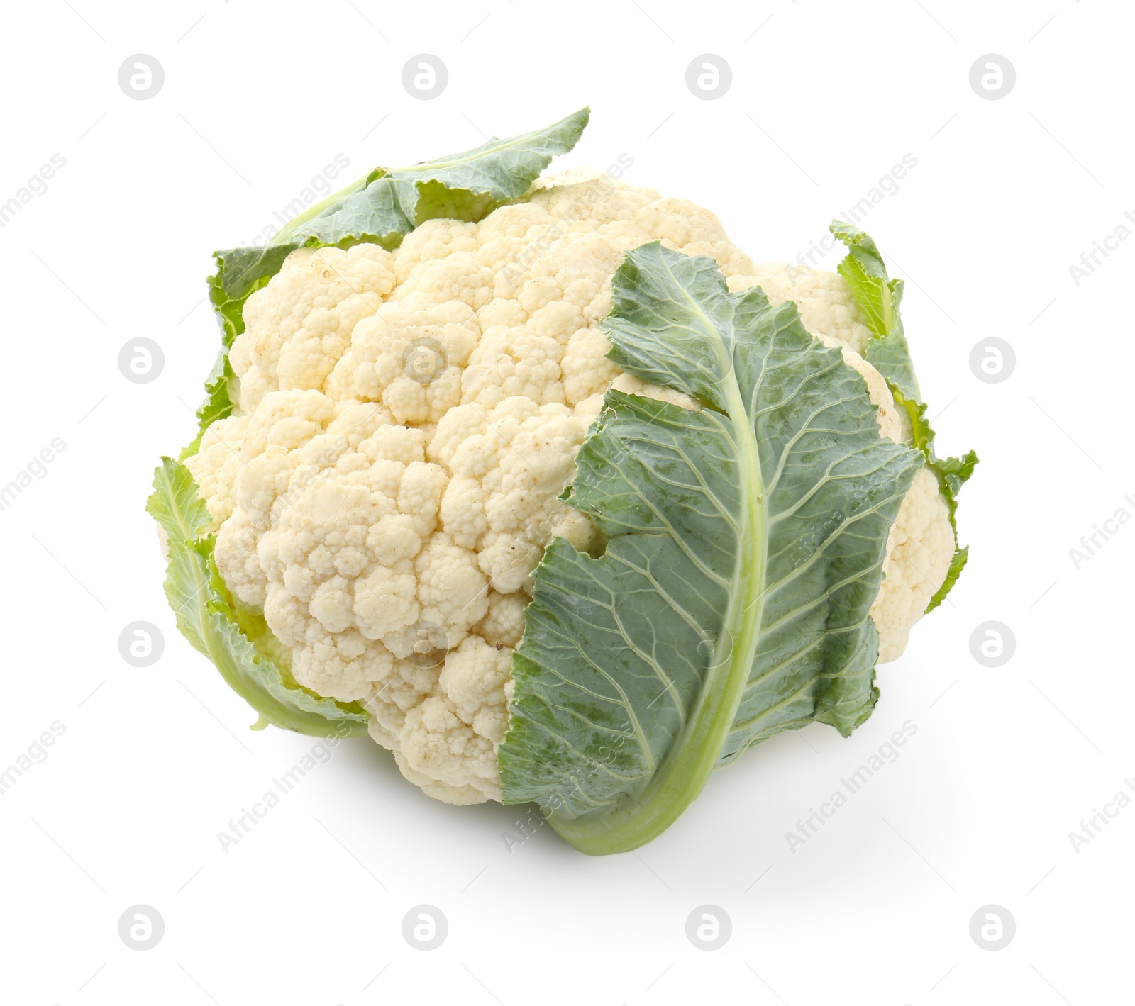 One fresh cauliflower with green leaves isolated on white Photo of One fresh cauliflower with green leaves isolated on white