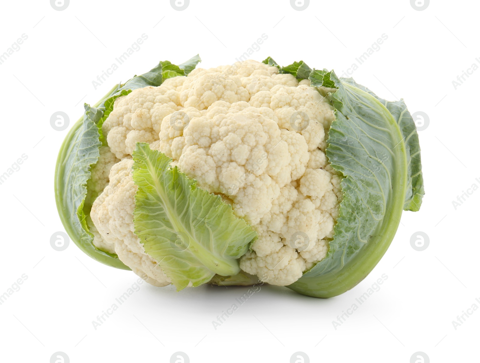 One fresh cauliflower with green leaves isolated on white Photo of One fresh cauliflower with green leaves isolated on white