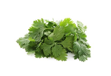 Photo of Bunch of aromatic cilantro isolated on white