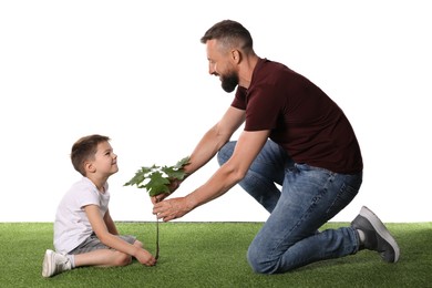 Photo of Father and his son planting tree into ground on white background