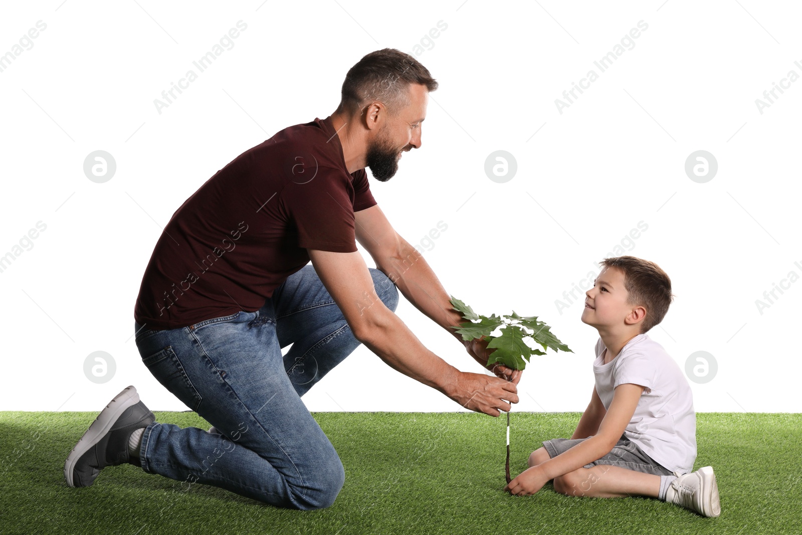 Photo of Father and his son planting tree into ground on white background