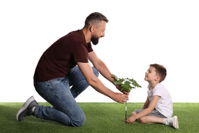 Photo of Father and his son planting tree into ground on white background