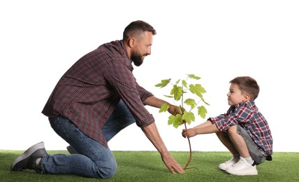 Photo of Father and his son planting tree into ground on white background