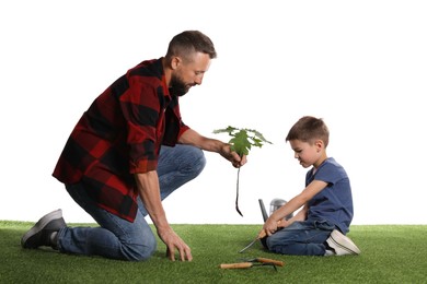 Photo of Father and his son planting tree into ground on white background