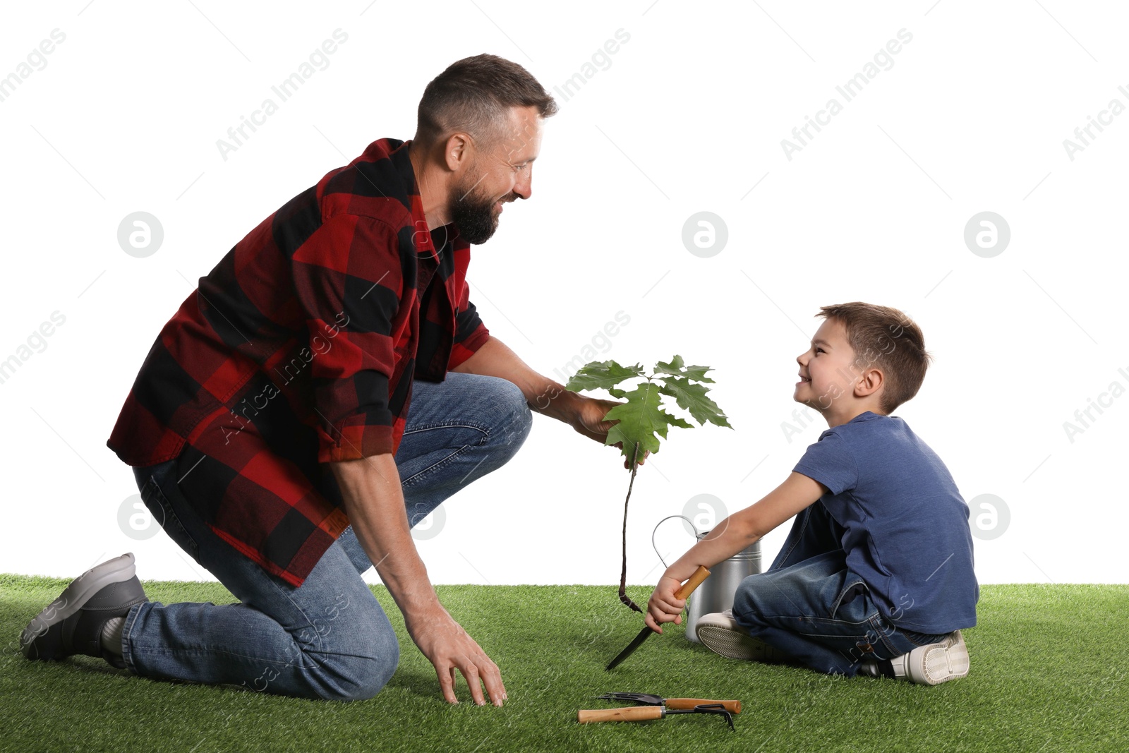 Photo of Father and his son planting tree into ground on white background