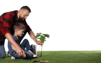 Photo of Father and his son planting tree into ground on white background, space for text