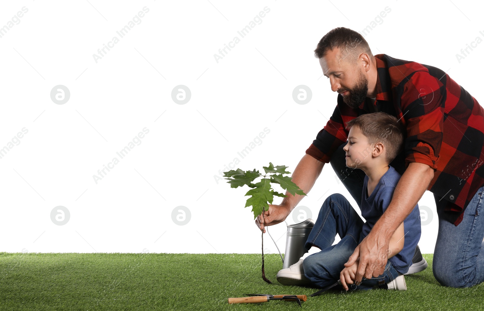 Father and his son planting tree into ground on white background, space for text Photo of Father and his son planting tree into ground on white background, space for text