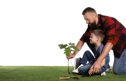 Photo of Father and his son planting tree into ground on white background, space for text