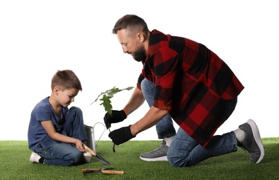 Photo of Father and his son planting tree into ground on white background