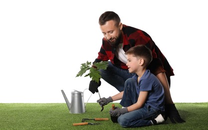 Photo of Father and his son planting tree into ground on white background