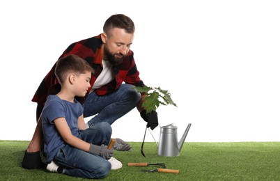 Photo of Father and his son planting tree into ground on white background