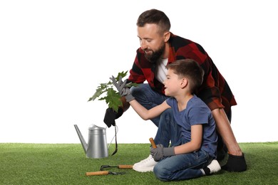Photo of Father and his son planting tree into ground on white background