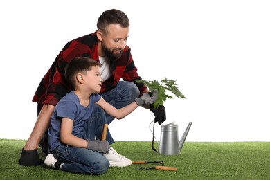 Photo of Father and his son planting tree into ground on white background