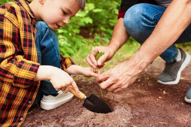 Photo of Father and his son planting tree into soil outdoors, closeup