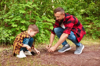 Photo of Father and his son planting tree into soil outdoors