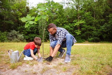 Photo of Father and his son planting tree into soil outdoors