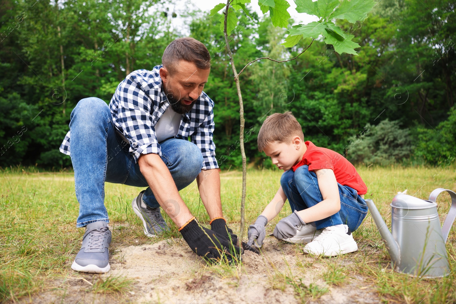 Father and his son planting tree into soil outdoors Photo of Father and his son planting tree into soil outdoors