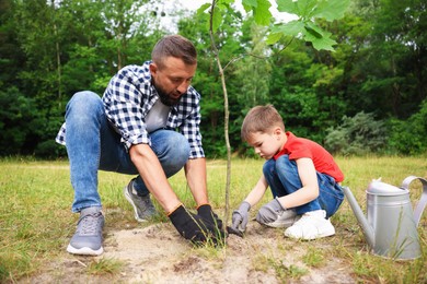 Photo of Father and his son planting tree into soil outdoors
