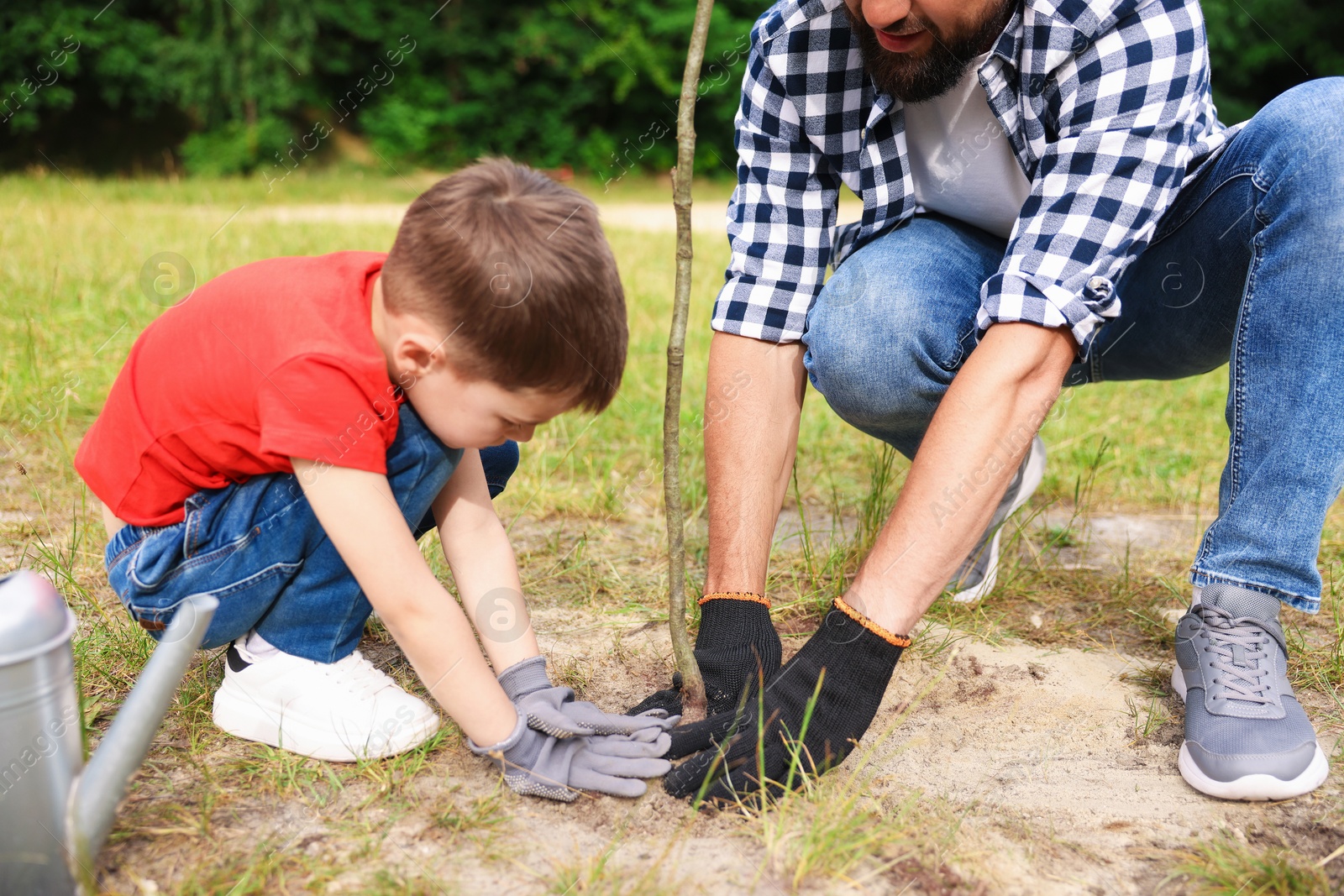 Father and his son planting tree into soil outdoors, closeup Photo of Father and his son planting tree into soil outdoors, closeup