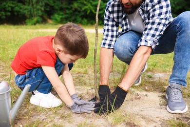 Photo of Father and his son planting tree into soil outdoors, closeup