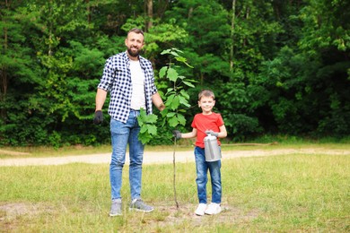Photo of Father and his son planting tree into soil outdoors